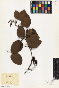 SW_BNB_s3010-03160_IMG-0000000001