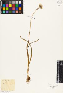 SW_BNB_s3010-03164_IMG-0000000001