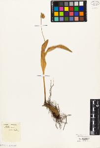 SW_BNB_s3010-03166_IMG-0000000001