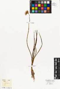 SW_BNB_s3010-03169_IMG-0000000001