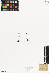 SW_BNB_s3010-03170_IMG-0000000001
