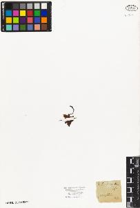 SW_BNB_s3010-03173_IMG-0000000001