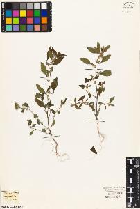SW_BNB_s3010-03176_IMG-0000000001