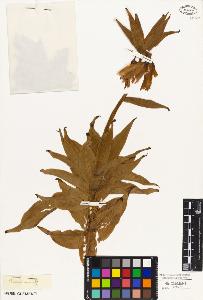SW_BNB_s3010-03179_IMG-0000000001