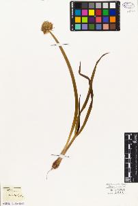 SW_BNB_s3010-03181_IMG-0000000001