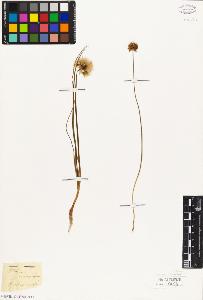 SW_BNB_s3010-03182_IMG-0000000001