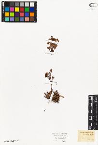 SW_BNB_s3010-03187_IMG-0000000001