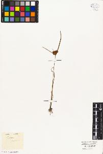 SW_BNB_s3010-03188_IMG-0000000001