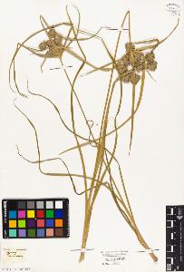 SW_BNB_s3010-03189_IMG-0000000001