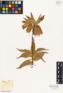 SW_BNB_s3010-03192_IMG-0000000001