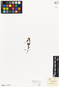 SW_BNB_s3010-03193_IMG-0000000001