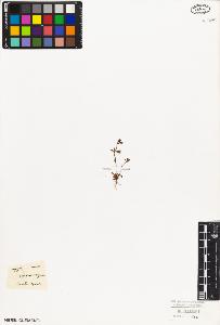 SW_BNB_s3010-03194_IMG-0000000001
