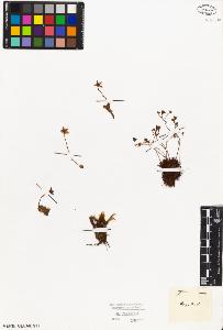 SW_BNB_s3010-03195_IMG-0000000001