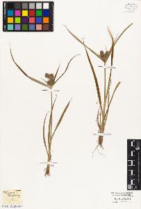 SW_BNB_s3010-03196_IMG-0000000001