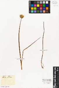 SW_BNB_s3010-03201_IMG-0000000001
