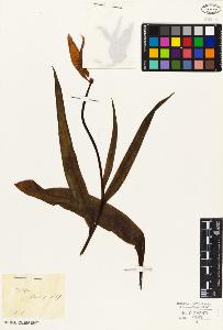 SW_BNB_s3010-03205_IMG-0000000001