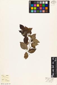 SW_BNB_s3010-03207_IMG-0000000001