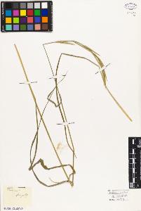 SW_BNB_s3010-03210_IMG-0000000001