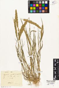 SW_BNB_s3010-03216_IMG-0000000001