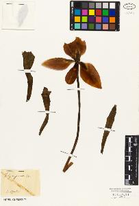 SW_BNB_s3010-03217_IMG-0000000001