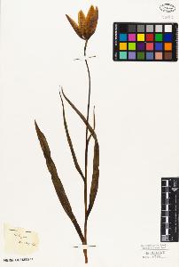 SW_BNB_s3010-03219_IMG-0000000001