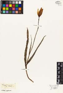 SW_BNB_s3010-03220_IMG-0000000001