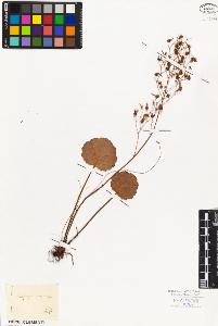 SW_BNB_s3010-03224_IMG-0000000001
