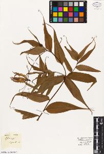 SW_BNB_s3010-03225_IMG-0000000001