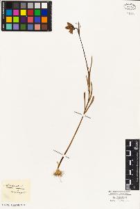 SW_BNB_s3010-03230_IMG-0000000001