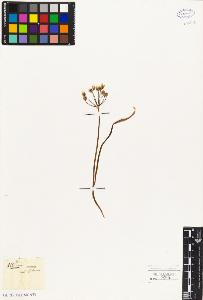 SW_BNB_s3010-03232_IMG-0000000001