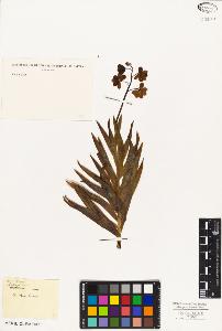 SW_BNB_s3010-03234_IMG-0000000001