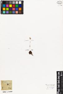 SW_BNB_s3010-03236_IMG-0000000001