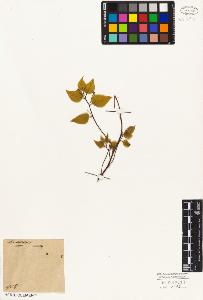 SW_BNB_s3010-03240_IMG-0000000001