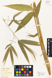 SW_BNB_s3010-03241_IMG-0000000001