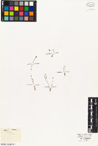 SW_BNB_s3010-03242_IMG-0000000001