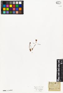 SW_BNB_s3010-03245_IMG-0000000001