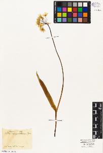 SW_BNB_s3010-03246_IMG-0000000001