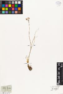 SW_BNB_s3010-03248_IMG-0000000001