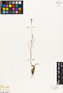 SW_BNB_s3010-03249_IMG-0000000001