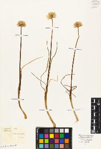 SW_BNB_s3010-03253_IMG-0000000001