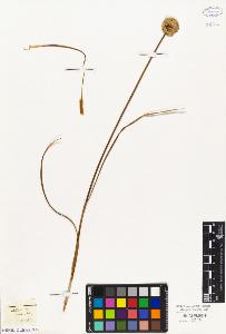 SW_BNB_s3010-03255_IMG-0000000001