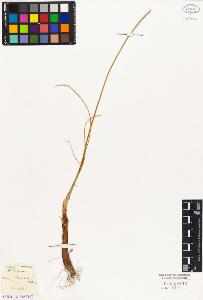 SW_BNB_s3010-03256_IMG-0000000001