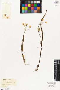 SW_BNB_s3010-03257_IMG-0000000001