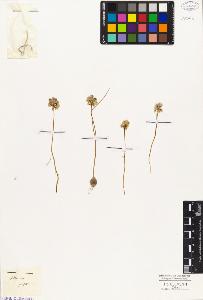 SW_BNB_s3010-03259_IMG-0000000001