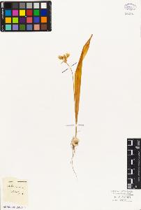 SW_BNB_s3010-03261_IMG-0000000001