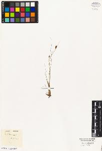 SW_BNB_s3010-03262_IMG-0000000001