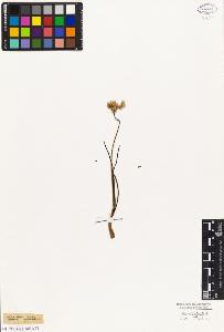 SW_BNB_s3010-03265_IMG-0000000001