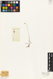SW_BNB_s3010-03266_IMG-0000000001