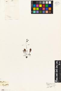 SW_BNB_s3010-03268_IMG-0000000001