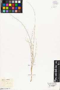 SW_BNB_s3010-03272_IMG-0000000001